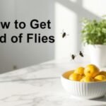 how to get rid of flies