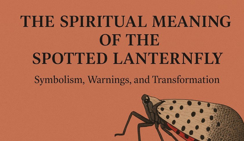 The Spiritual Meaning of the Spotted Lanternfly: What It Really Signifies