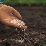 Essentials of Sustainable Farming with Quality Farm Supply