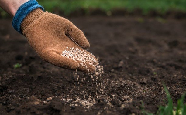 Essentials of Sustainable Farming with Quality Farm Supply