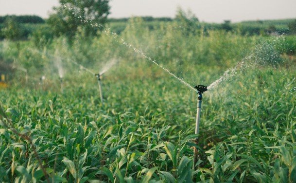 The Role of Quality Farm Supply in Sustainable Farming