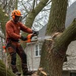 Why Regular Tree Trimming is Essential for Safety and Growth