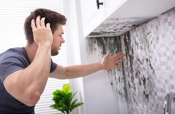 Household Triggers of Mold