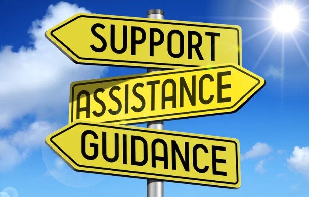 Leveraging Government Support