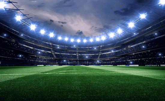 Professional-Grade Playing Surfaces